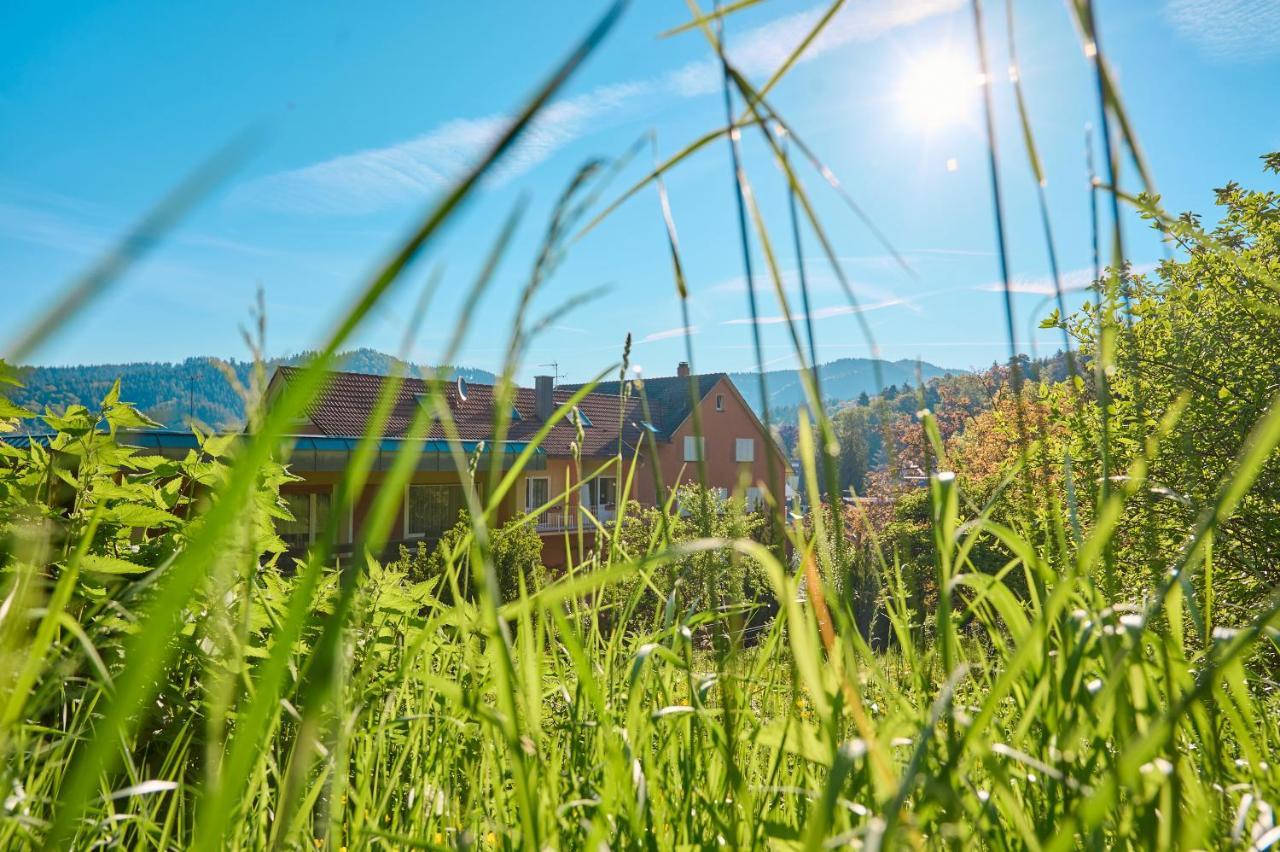 Hotel Morgensonne Badenweiler Kültér fotó