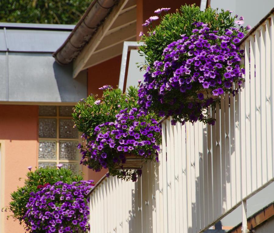 Hotel Morgensonne Badenweiler Kültér fotó